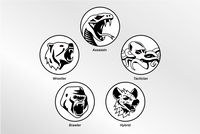 Jiu Jitsu Archetype Quiz